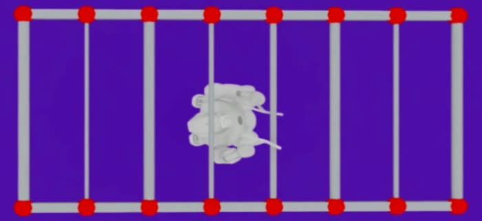 Randomized training ladder